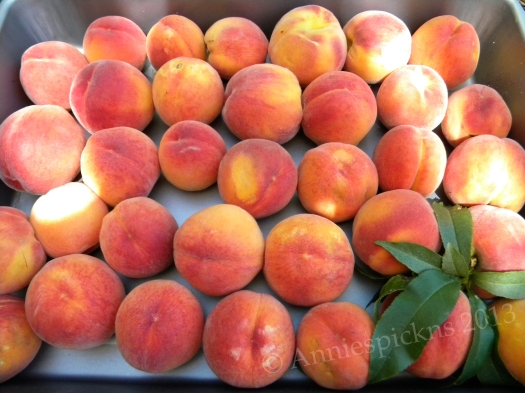 Edith's peaches